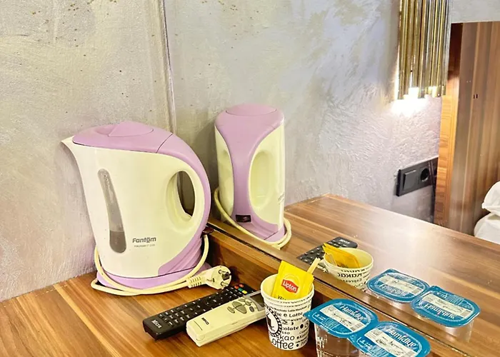 Hotel Taxim Alyon Stambuł